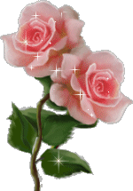 rose.jpg